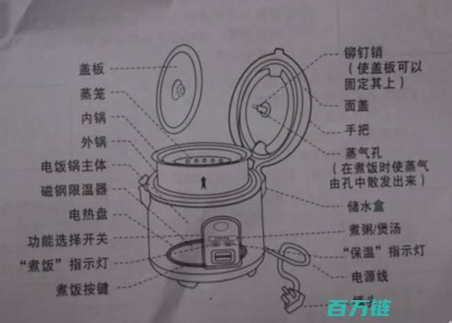 可能导致蟑螂污染米饭 电饭煲清洁警示 这4个易被忽视的角落不洗